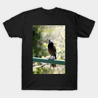 Pete, the Pied Currawong T-Shirt